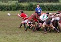 Monaghan RFC 1st XV V. Newry Oct 6th 2012 (13)